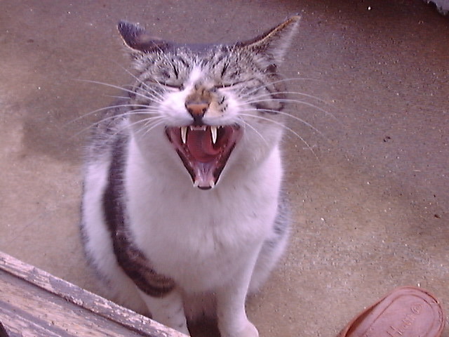 DSC00105_3
