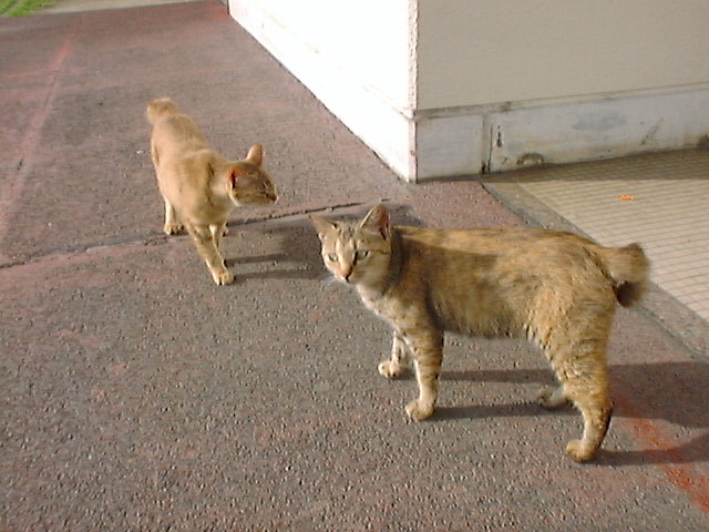 DSaC00014_3