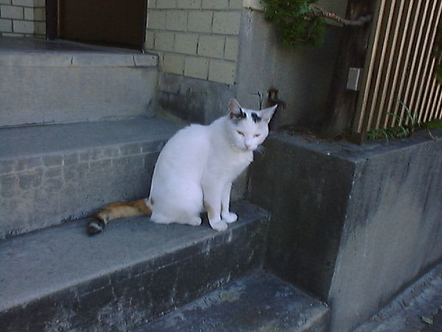 DSC00003_3