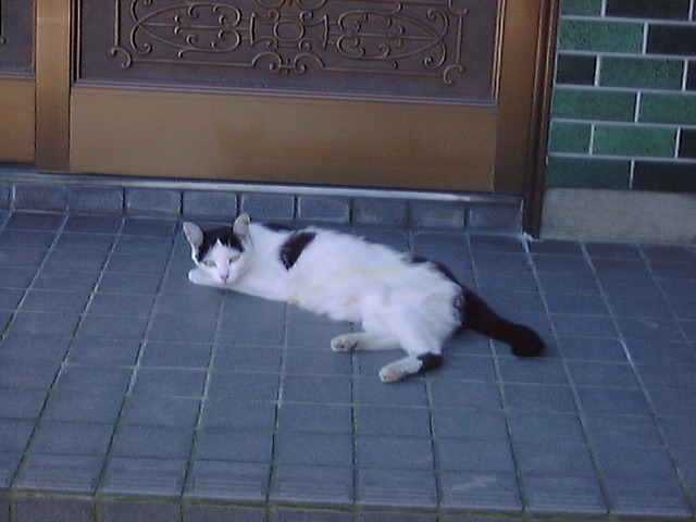 DSC00006_3