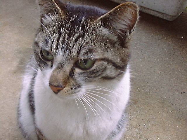 DSC00106_3