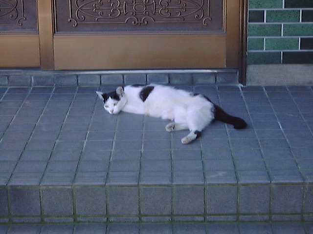 DSC00007_3