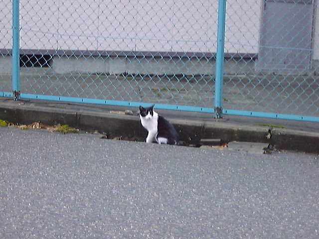 DSC00009_3