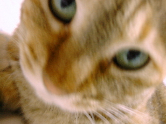 DSC00013_3