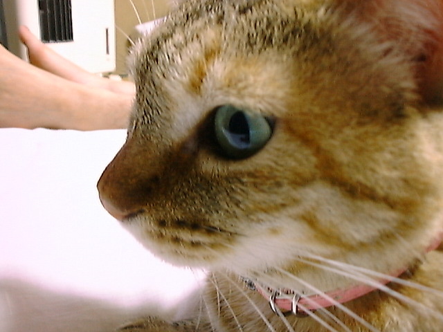 DSC00014_3