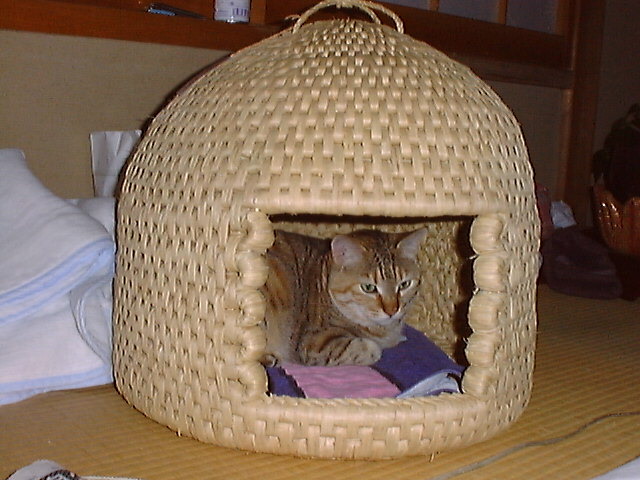 DSC00015_3