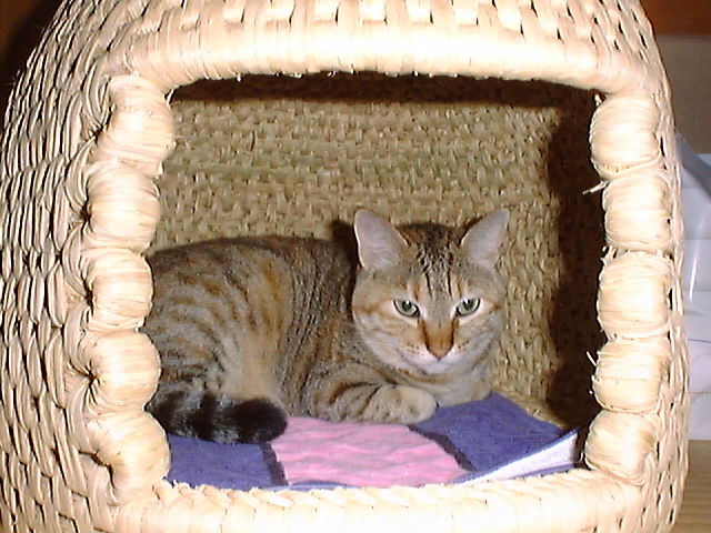 DSC00017_3