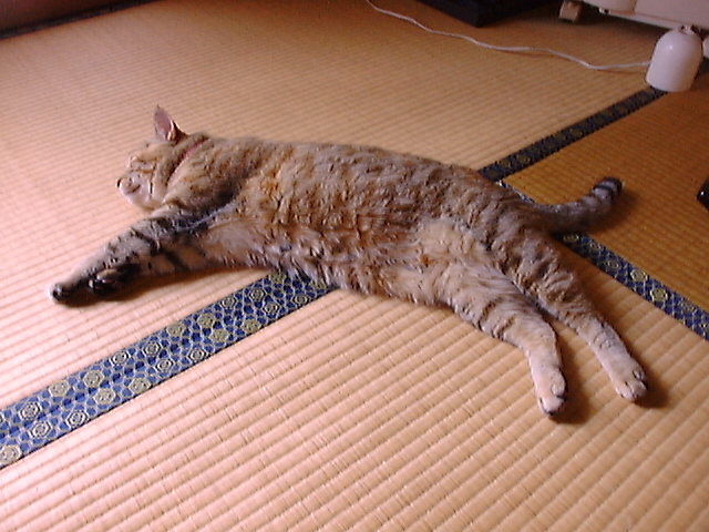 DSC00023_3