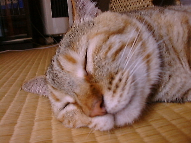 DSC00024_3
