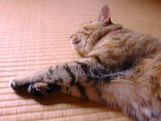 DSC00026_3