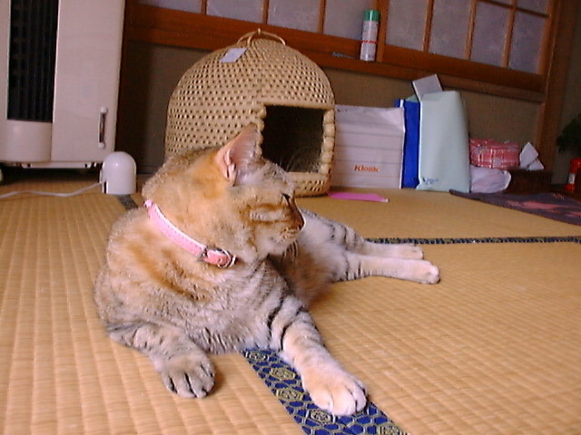 DSC00027_3