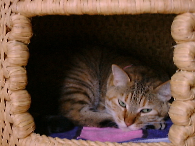 DSC00040_3