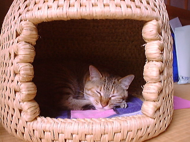 DSC00043_3