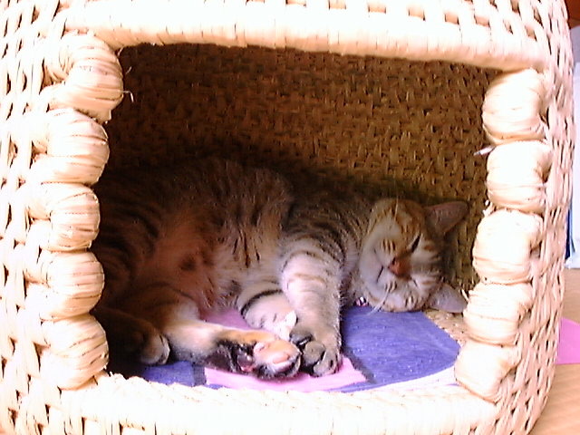 DSC00047_3