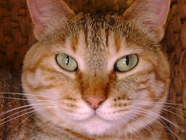 DSC00050_3