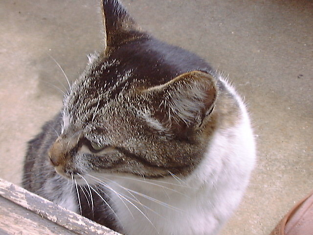 DSC00109_3