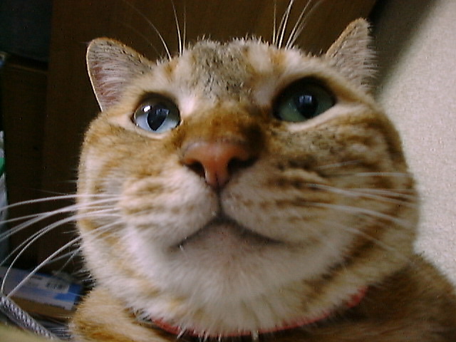 DSC00055_3