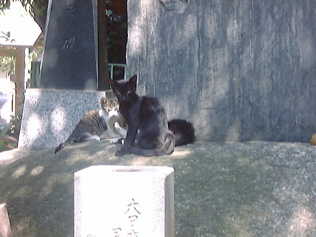 DSC00081_3