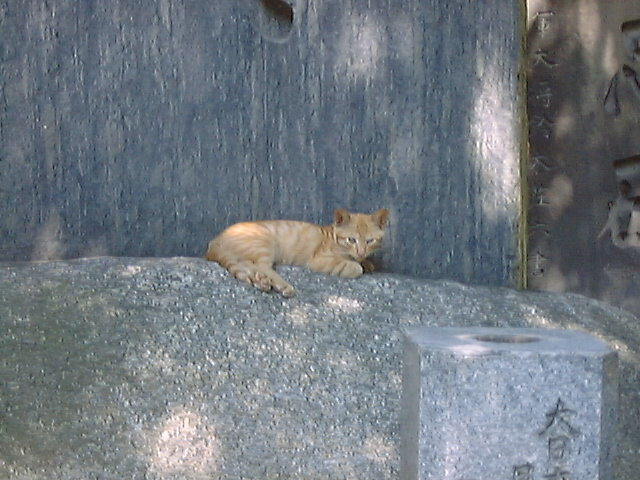 DSC00082_3