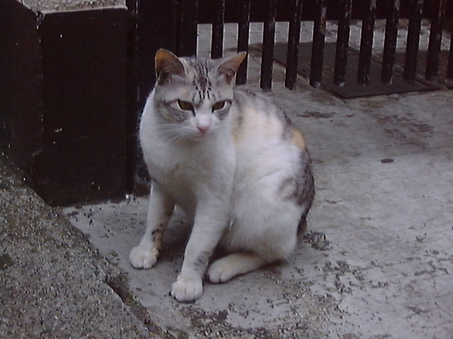 DSC00110_3
