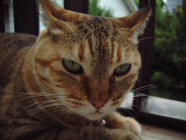 DSCF0899_1