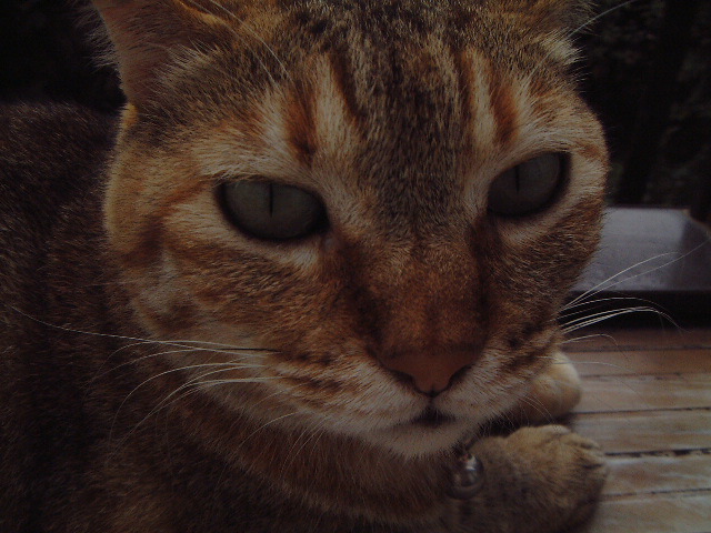 DSCF0903_1