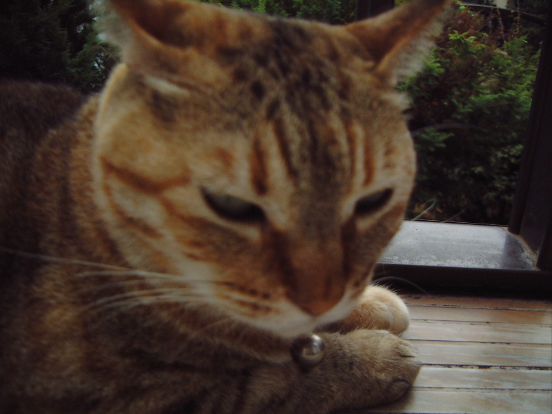 DSCF0906_1