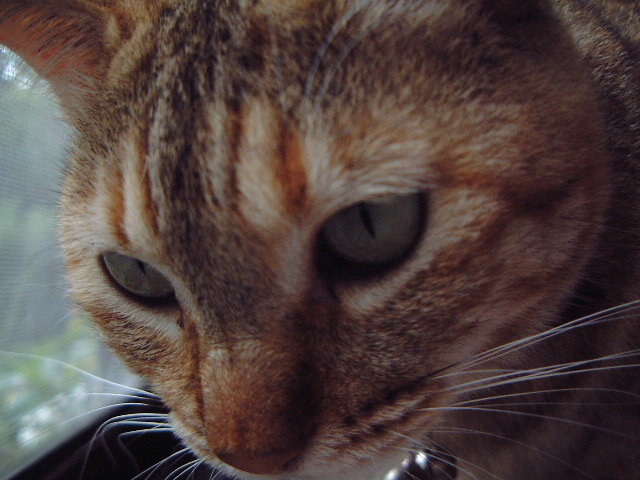 DSCF1034_1