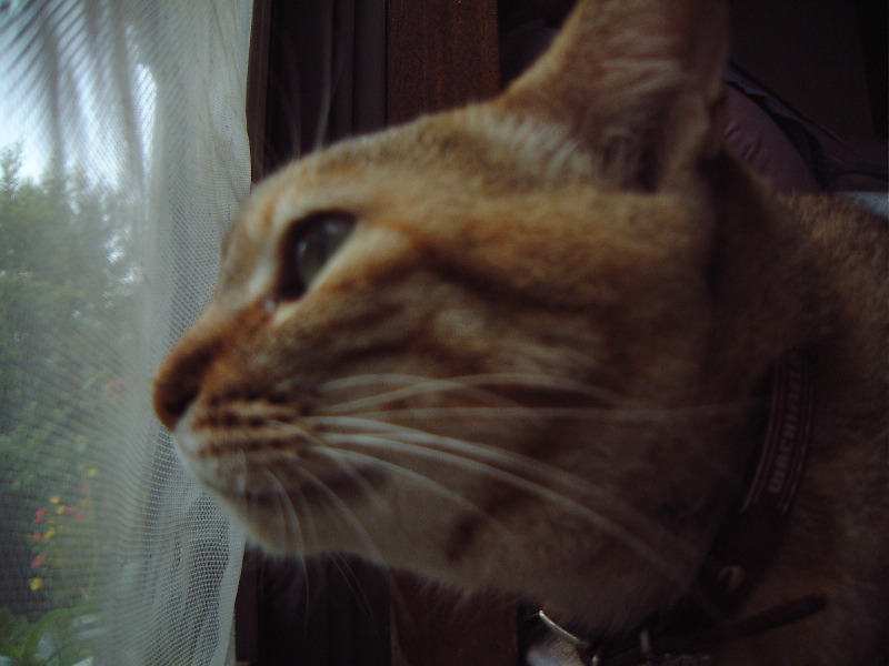 DSCF1036_1