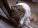 DSC00104_3