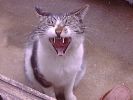 DSC00105_3