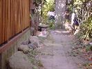 DSC00001_3