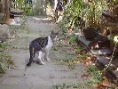 DSC00002_3