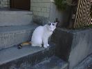 DSC00003_3