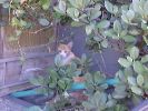 DSC00004_3