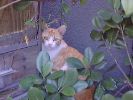 DSC00005_3