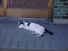 DSC00006_3