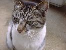 DSC00106_3