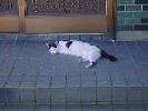 DSC00007_3