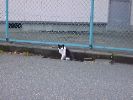 DSC00009_3