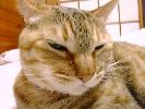 DSC00012_3