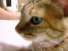 DSC00014_3