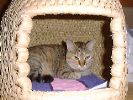 DSC00017_3