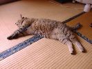 DSC00023_3