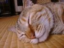 DSC00024_3