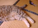 DSC00025_3