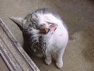 DSC00107_3