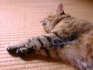 DSC00026_3
