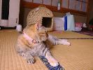 DSC00027_3