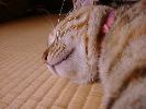 DSC00029_3